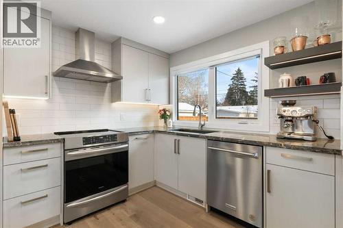 9936 Maplecreek Drive Se, Calgary, AB - Indoor Photo Showing Kitchen With Upgraded Kitchen