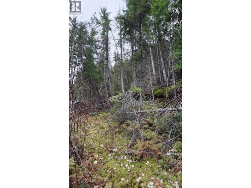 Eagleview Road Lot# 5, Eagle Bay, BC 