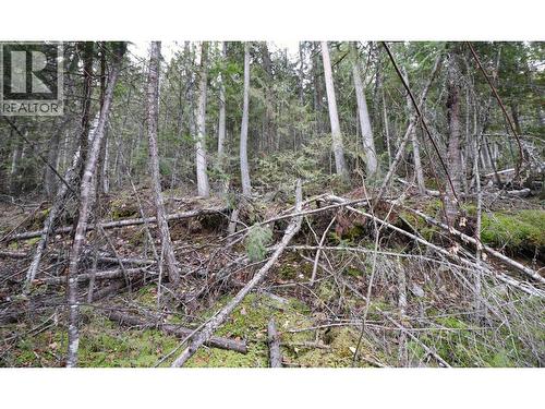 Eagleview Road Lot# 5, Eagle Bay, BC 