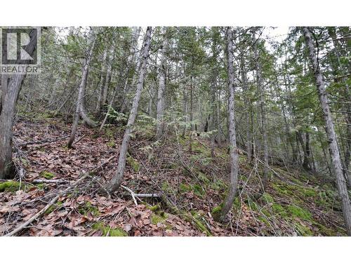 Eagleview Road Lot# 5, Eagle Bay, BC 