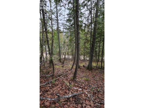 Eagleview Road Lot# 5, Eagle Bay, BC 