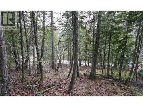 Eagleview Road Lot# 5, Eagle Bay, BC 