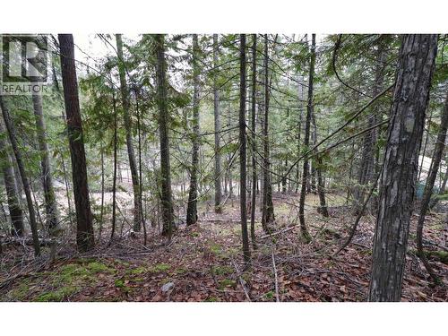 Eagleview Road Lot# 5, Eagle Bay, BC 