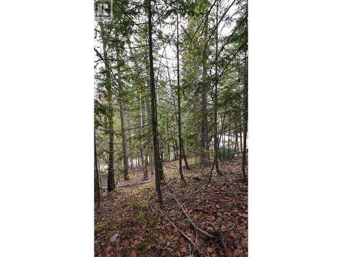 Eagleview Road Lot# 5, Eagle Bay, BC 