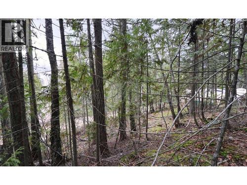 Eagleview Road Lot# 5, Eagle Bay, BC 