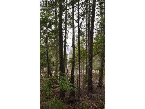 Eagleview Road Lot# 5, Eagle Bay, BC 