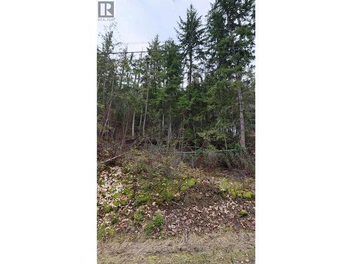 Eagleview Road Lot# 5, Eagle Bay, BC 