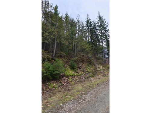 Eagleview Road Lot# 5, Eagle Bay, BC 