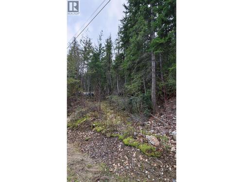 Eagleview Road Lot# 5, Eagle Bay, BC 