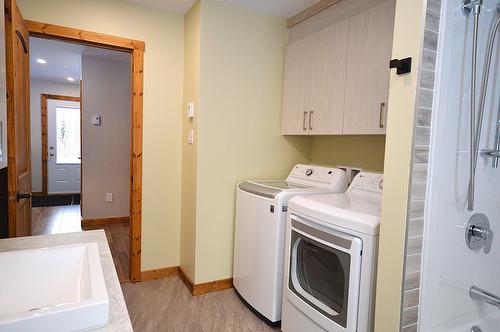 Salle de bains - 153 Ch. Roy, Amherst, QC - Indoor Photo Showing Laundry Room