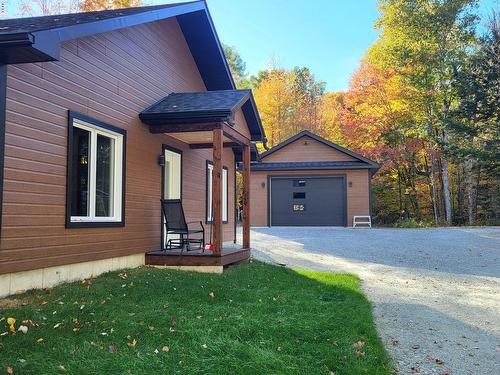 Vue d'ensemble - 153 Ch. Roy, Amherst, QC - Outdoor