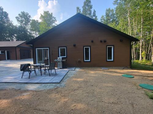 Extérieur - 153 Ch. Roy, Amherst, QC - Outdoor