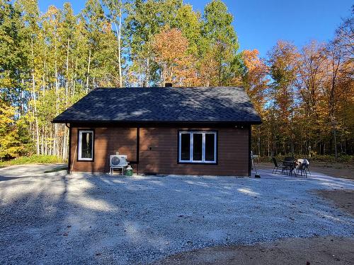 Extérieur - 153 Ch. Roy, Amherst, QC - Outdoor