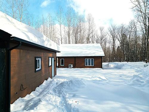 Extérieur - 153 Ch. Roy, Amherst, QC - Outdoor