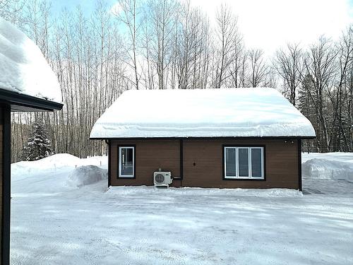 Extérieur - 153 Ch. Roy, Amherst, QC - Outdoor