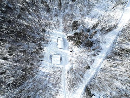 Vue d'ensemble - 153 Ch. Roy, Amherst, QC - Outdoor