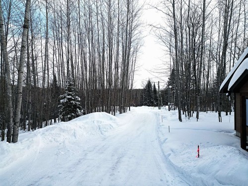 Extérieur - 153 Ch. Roy, Amherst, QC - Outdoor