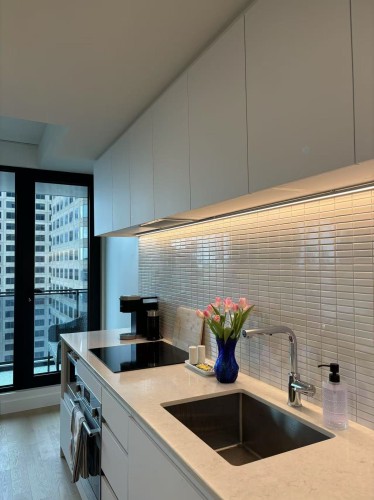 Cuisine - 2910-1210 Rue Jeanne-Mance, Montréal (Ville-Marie), QC - Indoor Photo Showing Kitchen