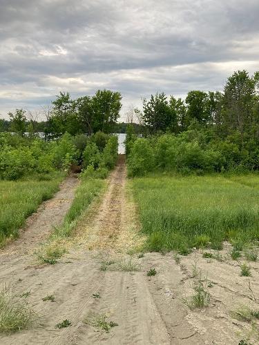 Terre/Terrain - 2691 Ch. Salomon-Dicaire, Papineauville, QC 