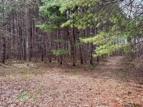 Terre/Terrain - Route Des Outaouais, Brownsburg-Chatham, QC 
