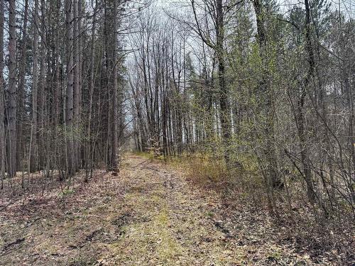 Terre/Terrain - Route Des Outaouais, Brownsburg-Chatham, QC 