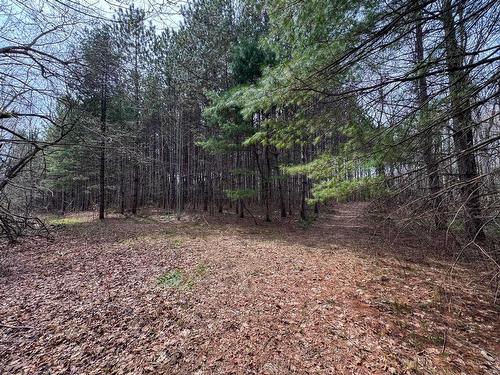 Terre/Terrain - Route Des Outaouais, Brownsburg-Chatham, QC 