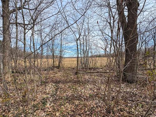 Terre/Terrain - Route Des Outaouais, Brownsburg-Chatham, QC 
