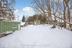 Beautiful big back yard - 