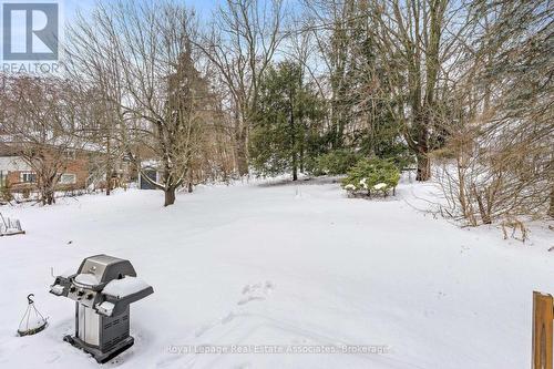 112 Park Street E, Halton Hills, ON - Outdoor