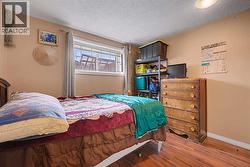 4th bedroom on lower level - 