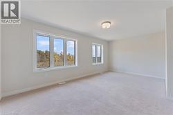 Windows! Windows! Windows! - 