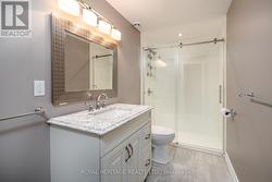 Lower Level Bathroom - 