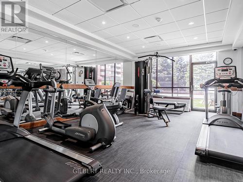 806 - 100 Observatory Lane, Richmond Hill, ON - Indoor Photo Showing Gym Room