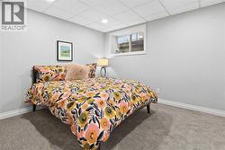 4th bedroom lower level - 