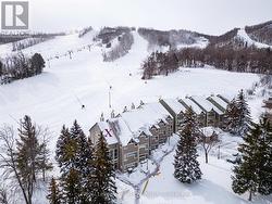 101 - 796404 GREY ROAD 19  Blue Mountains, ON L9Y 0N8