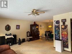 livingroom just couch - 