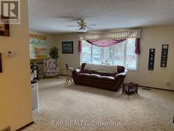 livingroom just couch - 