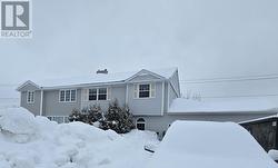 520 Bristol Crescent  Labrador City, NL A2V 1J1