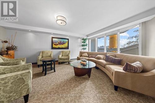 808 - 1171 Ambleside Drive, Ottawa, ON - Indoor Photo Showing Living Room