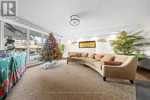 808 - 1171 Ambleside Drive, Ottawa, ON - 