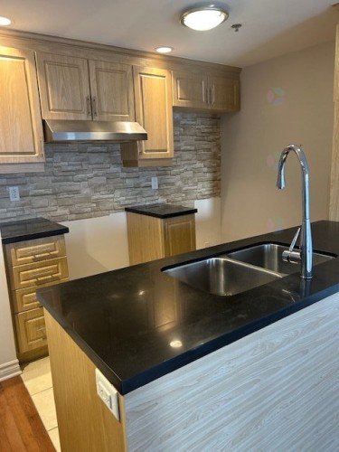 Kitchen - 303-2250 Rue Ward, Montréal (Saint-Laurent), QC - Indoor Photo Showing Kitchen With Double Sink