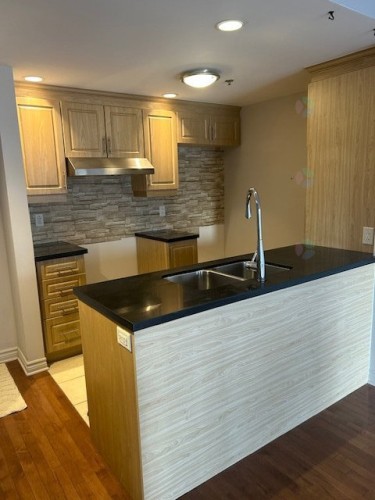 Kitchen - 303-2250 Rue Ward, Montréal (Saint-Laurent), QC - Indoor Photo Showing Kitchen With Double Sink