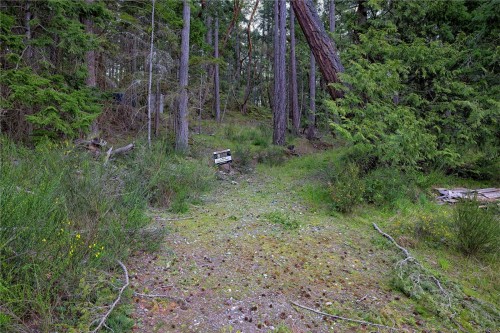 240 Old Scott Rd, Salt Spring, BC 
