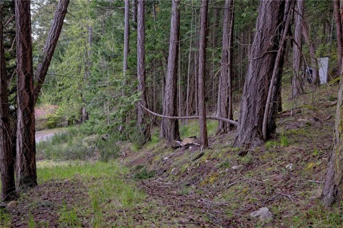 240 Old Scott Rd, Salt Spring, BC 