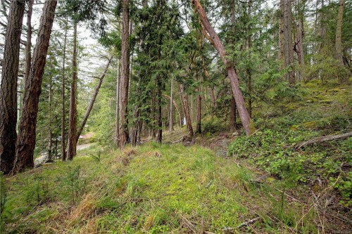 240 Old Scott Rd, Salt Spring, BC 
