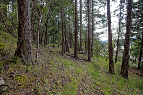 240 Old Scott Rd, Salt Spring, BC 