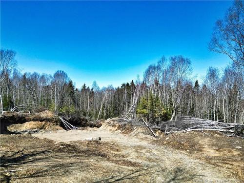 929 Route 774, Welshpool, NB 