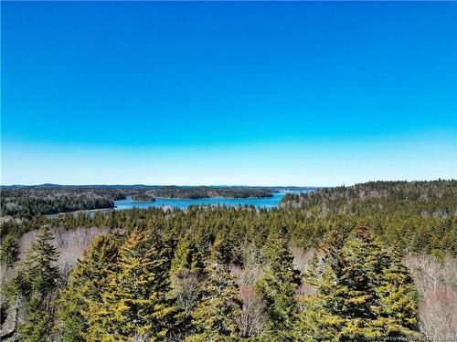 929 Route 774, Welshpool, NB 
