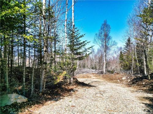 929 Route 774, Welshpool, NB 
