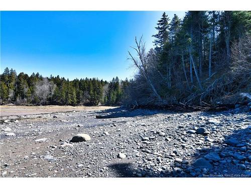 929 Route 774, Welshpool, NB 